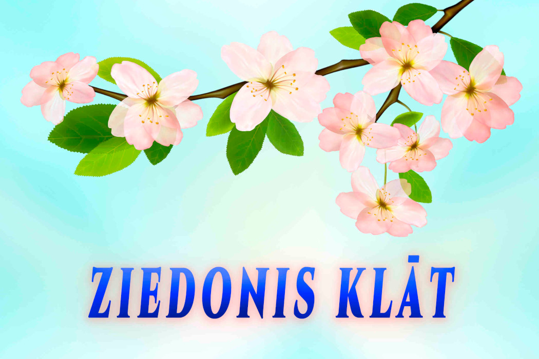 koncerta Ziedonis klāt afiša