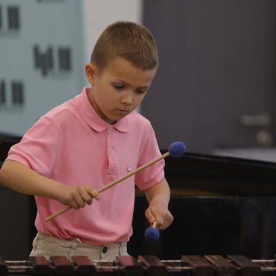 Sitaminstrumentu nodaļas koncerts