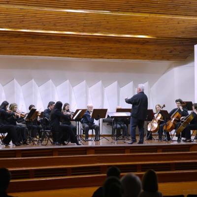 Stīgu instrumentu nodaļas koncerts