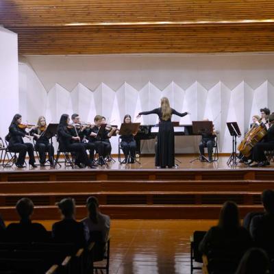 Stīgu instrumentu nodaļas koncerts